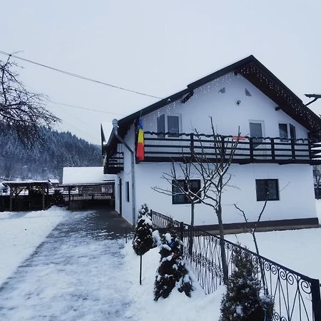Willa Casa Roxana Viseu de Mijloc Zewnętrze zdjęcie