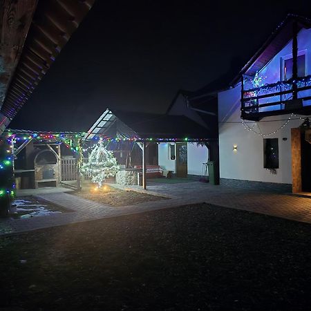 Willa Casa Roxana Viseu de Mijloc Zewnętrze zdjęcie