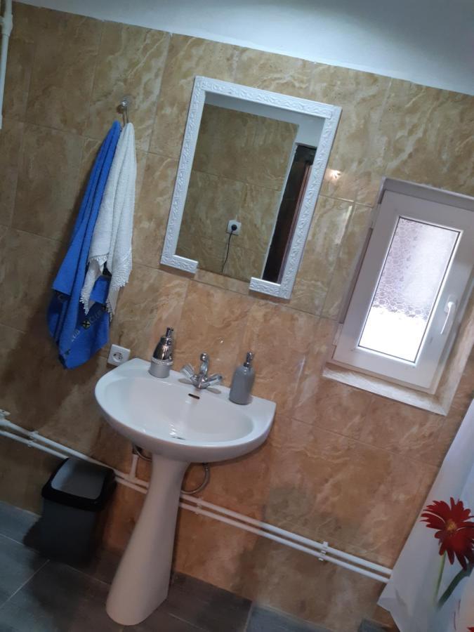Willa Casa Roxana Viseu de Mijloc Zewnętrze zdjęcie