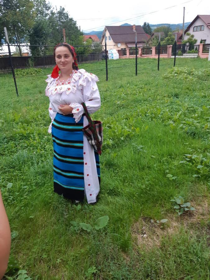 Willa Casa Roxana Viseu de Mijloc Zewnętrze zdjęcie