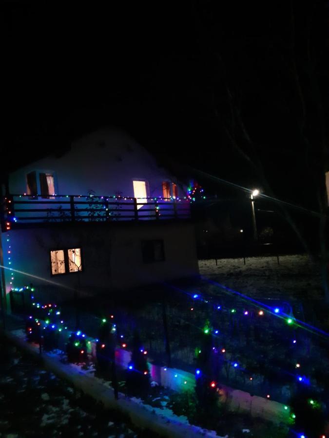 Willa Casa Roxana Viseu de Mijloc Zewnętrze zdjęcie