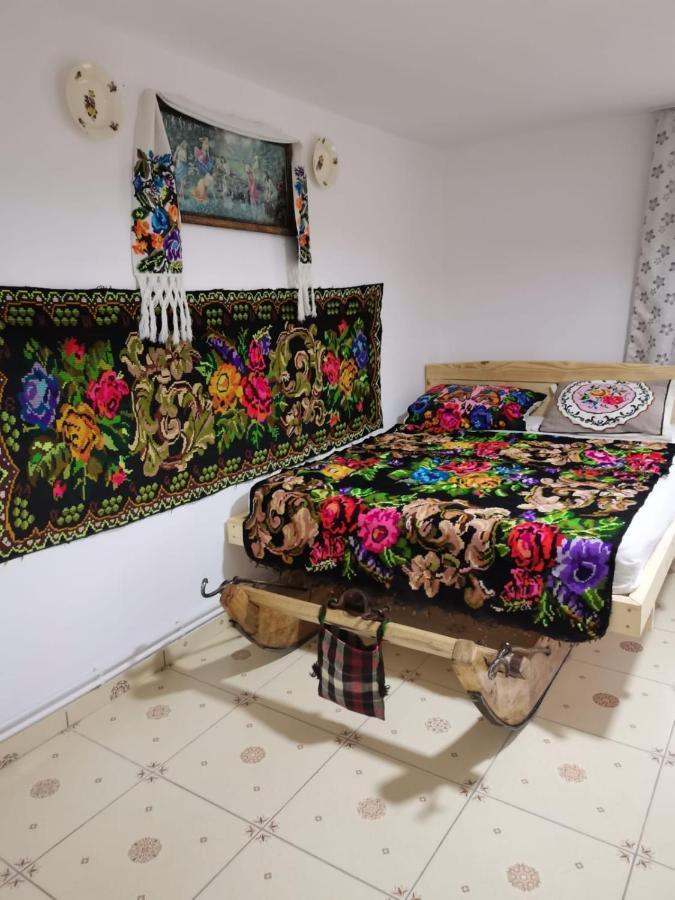 Willa Casa Roxana Viseu de Mijloc Zewnętrze zdjęcie