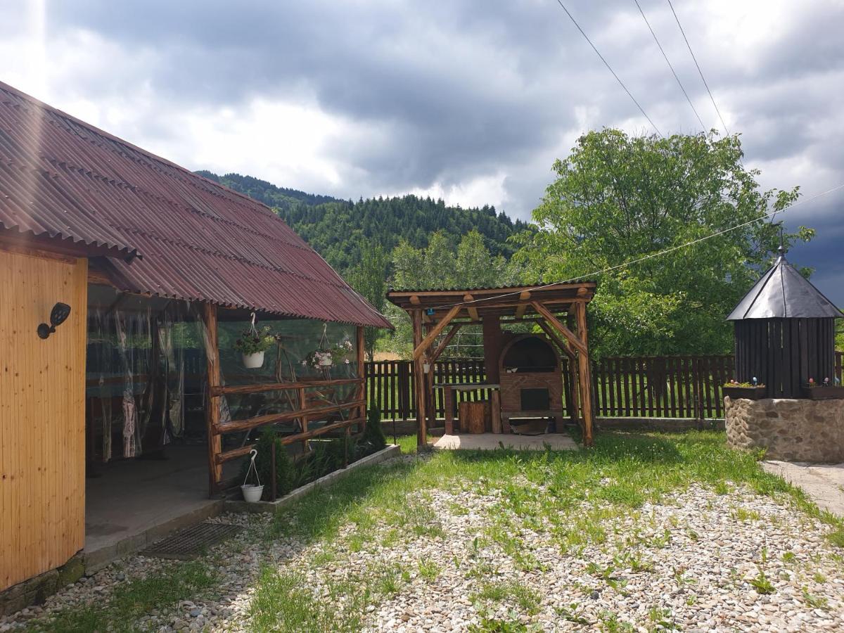 Willa Casa Roxana Viseu de Mijloc Zewnętrze zdjęcie