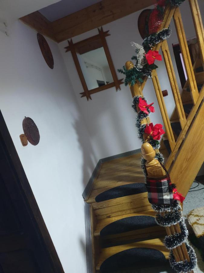 Willa Casa Roxana Viseu de Mijloc Zewnętrze zdjęcie