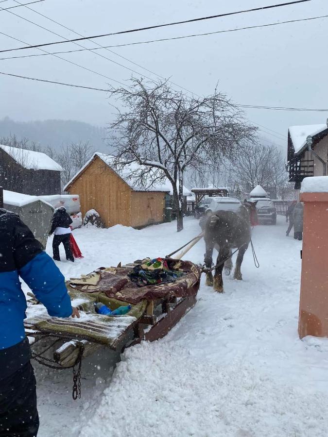 Willa Casa Roxana Viseu de Mijloc Zewnętrze zdjęcie