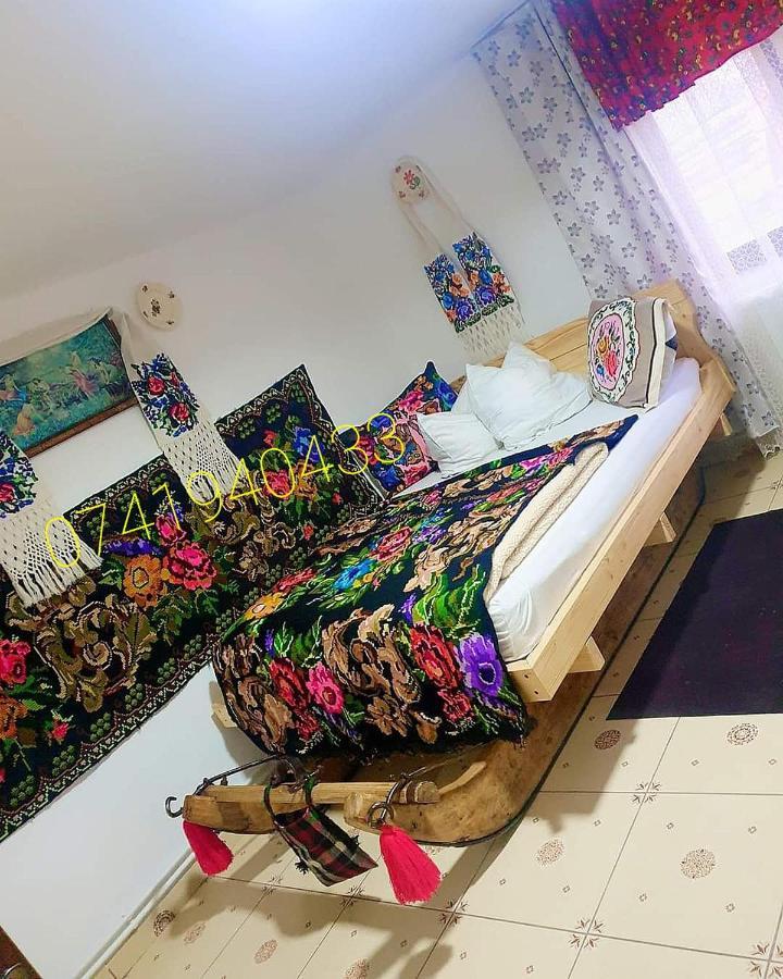 Willa Casa Roxana Viseu de Mijloc Zewnętrze zdjęcie