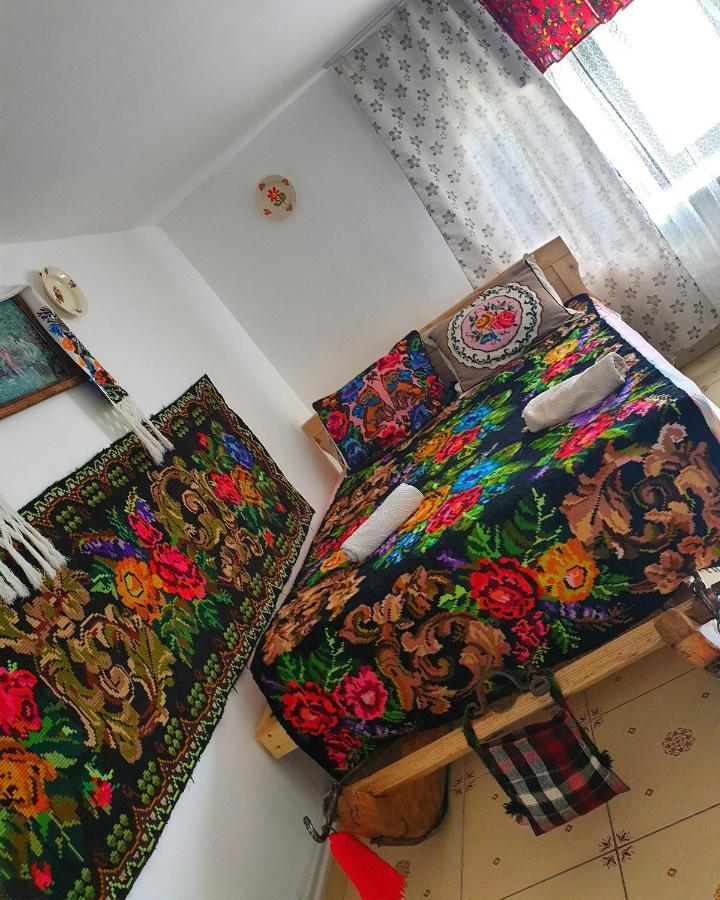 Willa Casa Roxana Viseu de Mijloc Zewnętrze zdjęcie