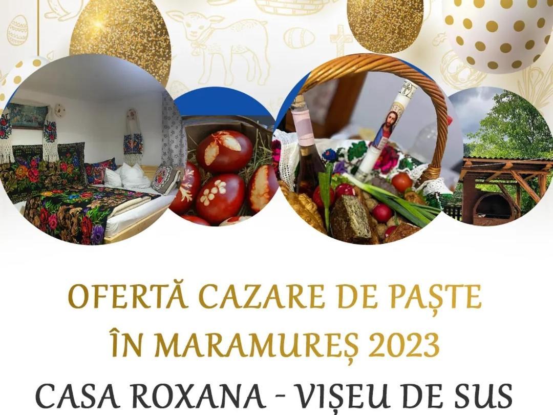 Willa Casa Roxana Viseu de Mijloc Zewnętrze zdjęcie