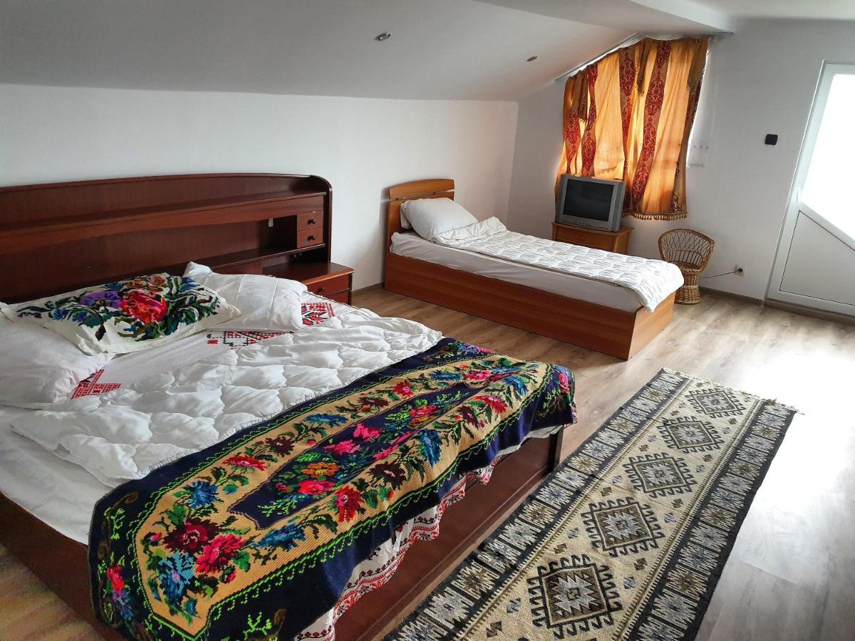 Willa Casa Roxana Viseu de Mijloc Zewnętrze zdjęcie