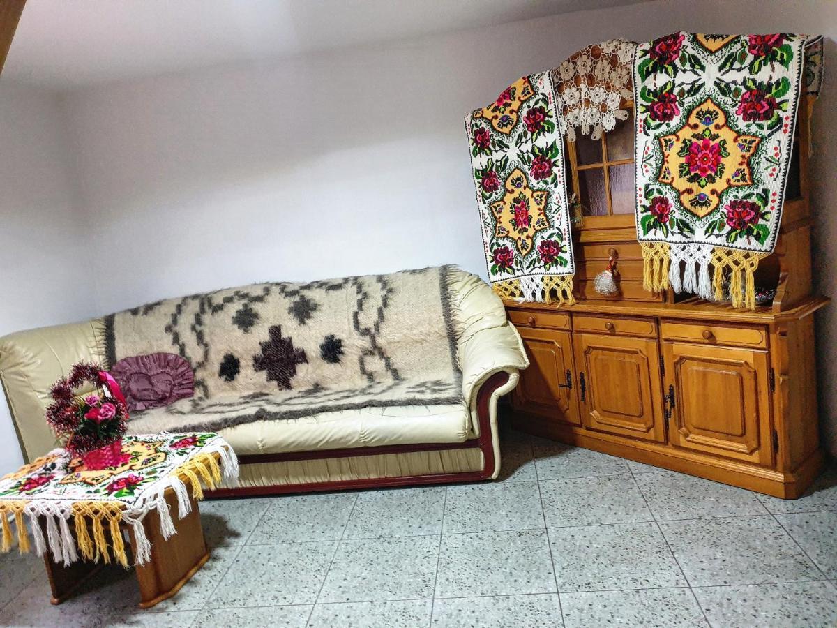 Willa Casa Roxana Viseu de Mijloc Zewnętrze zdjęcie