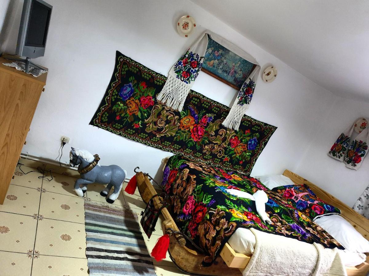 Willa Casa Roxana Viseu de Mijloc Zewnętrze zdjęcie