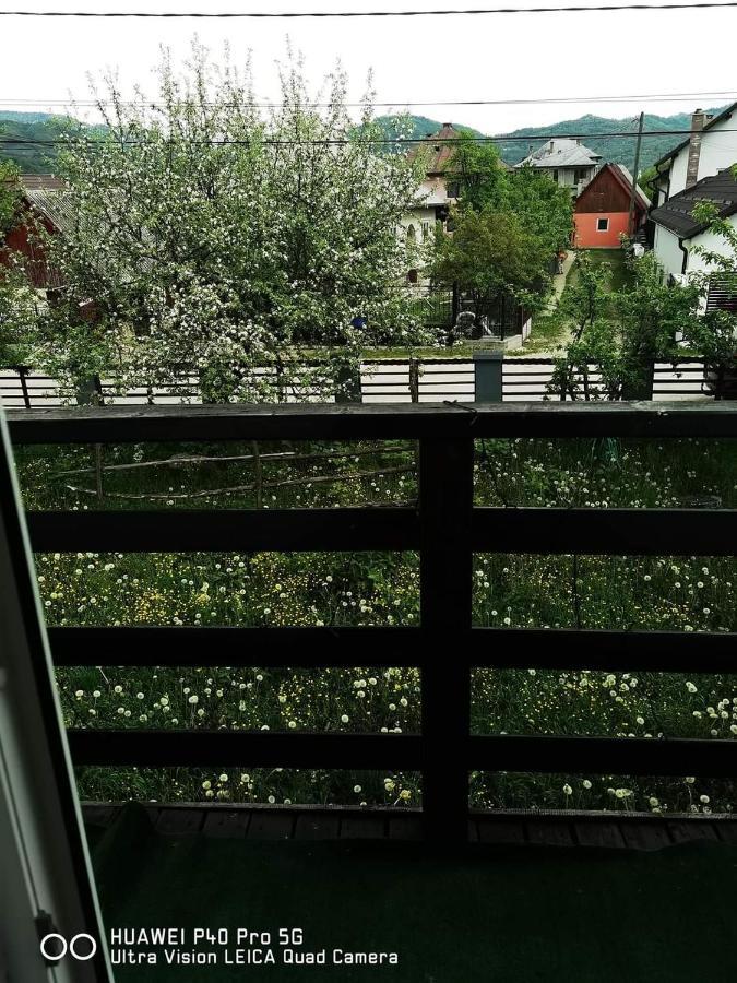 Willa Casa Roxana Viseu de Mijloc Zewnętrze zdjęcie