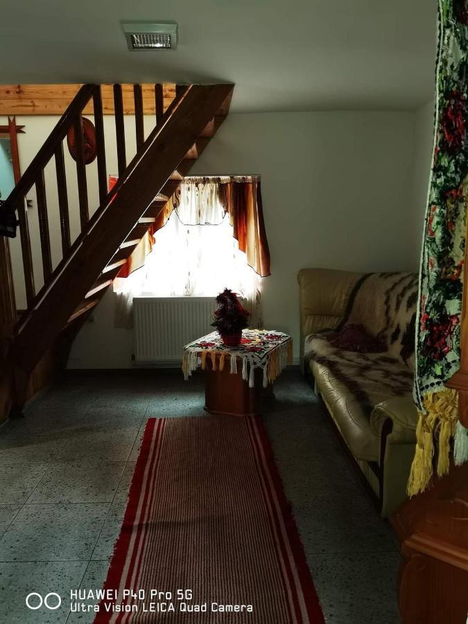 Willa Casa Roxana Viseu de Mijloc Zewnętrze zdjęcie