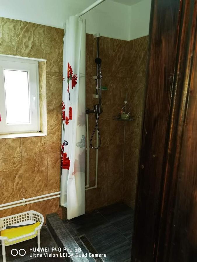 Willa Casa Roxana Viseu de Mijloc Zewnętrze zdjęcie
