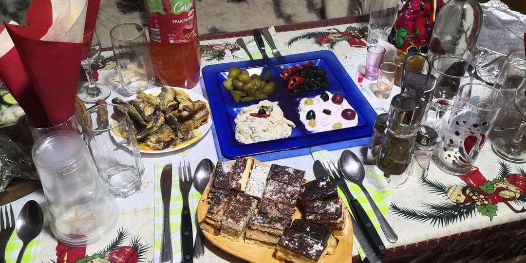 Willa Casa Roxana Viseu de Mijloc Zewnętrze zdjęcie