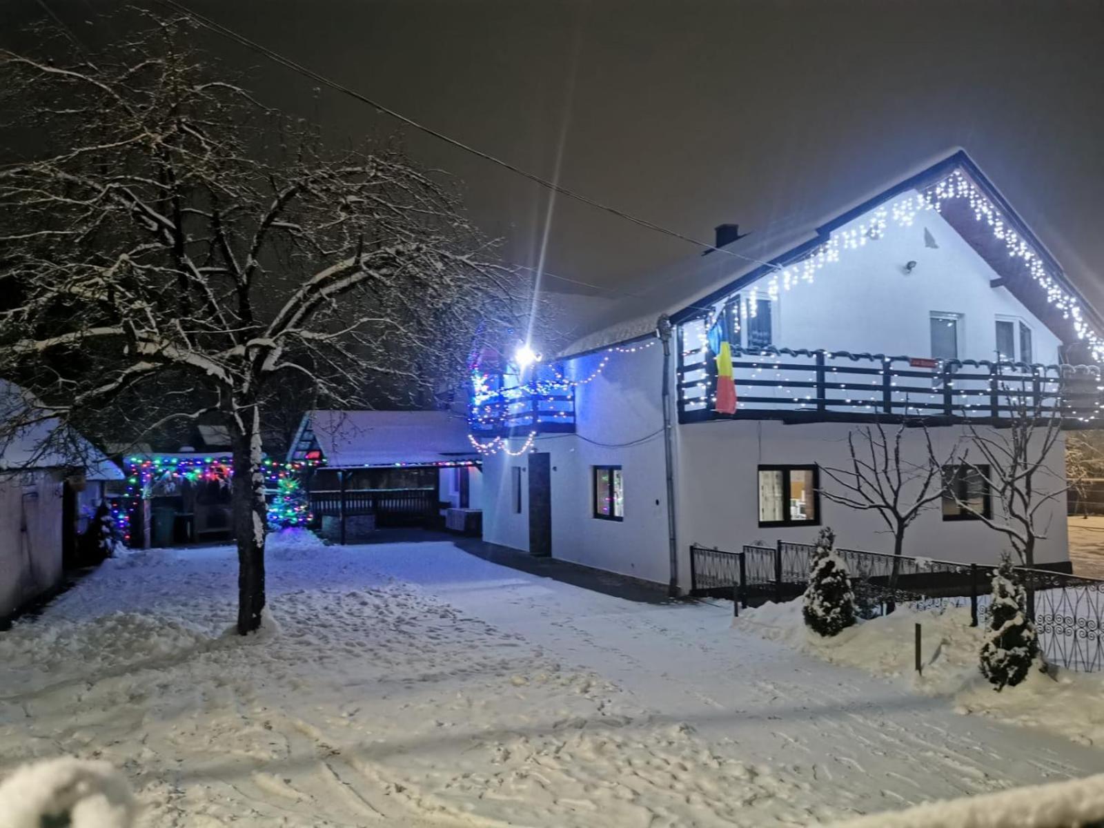 Willa Casa Roxana Viseu de Mijloc Zewnętrze zdjęcie