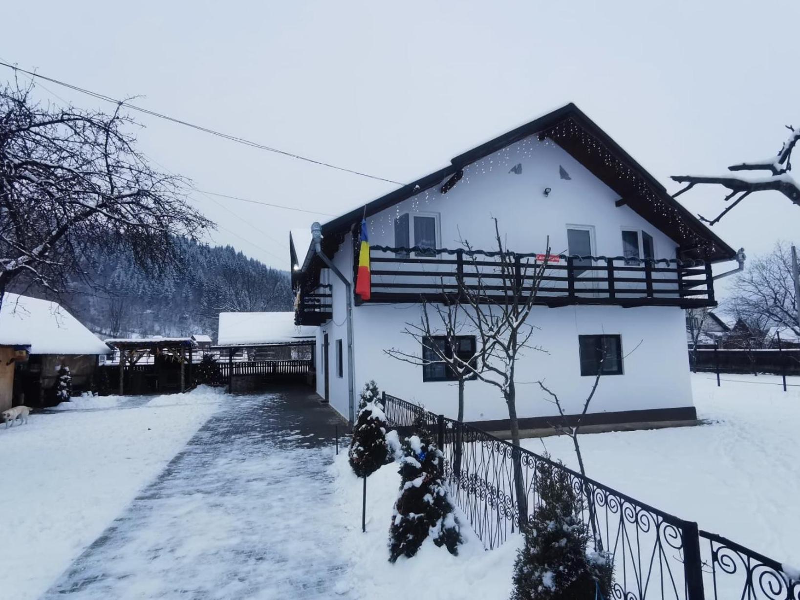 Willa Casa Roxana Viseu de Mijloc Zewnętrze zdjęcie