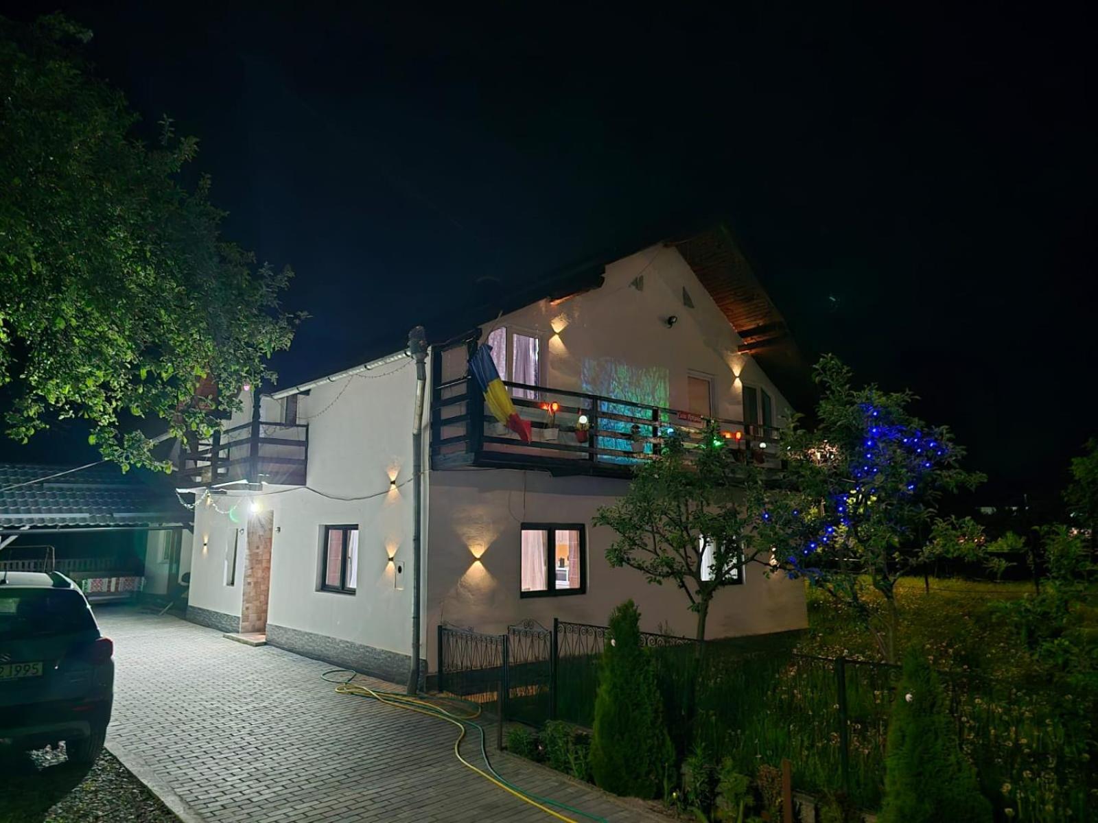 Willa Casa Roxana Viseu de Mijloc Zewnętrze zdjęcie