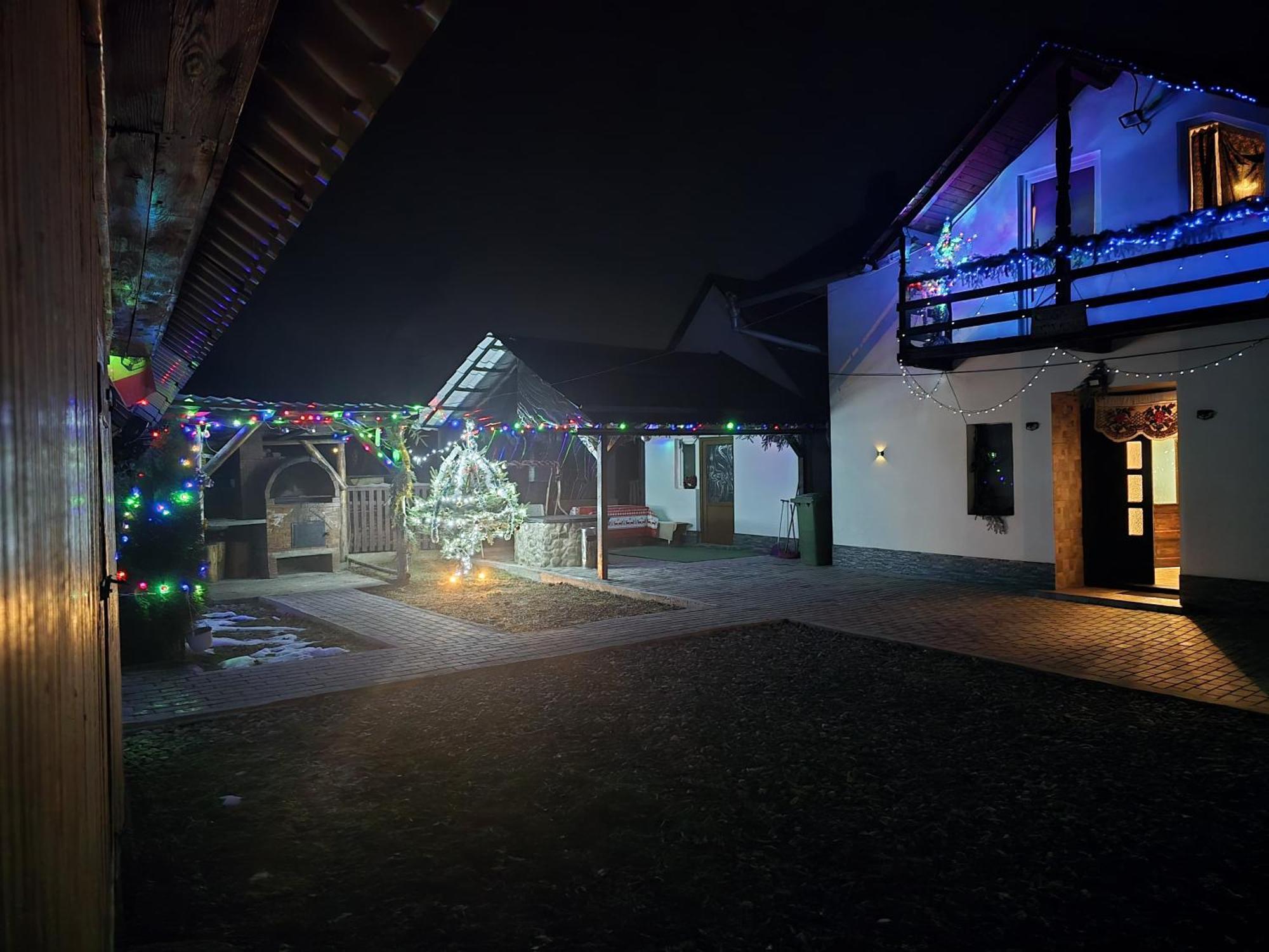 Willa Casa Roxana Viseu de Mijloc Zewnętrze zdjęcie
