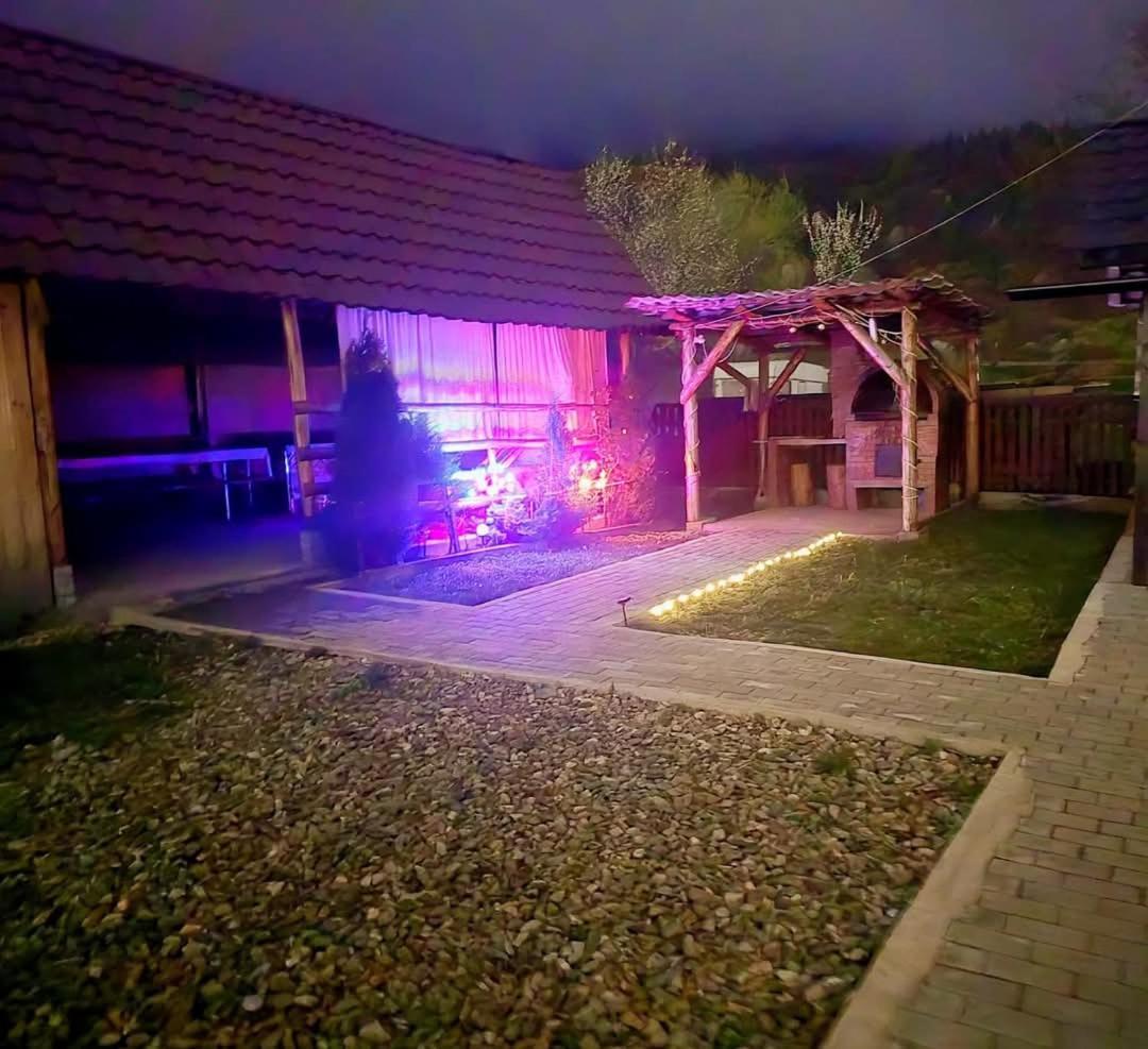 Willa Casa Roxana Viseu de Mijloc Zewnętrze zdjęcie